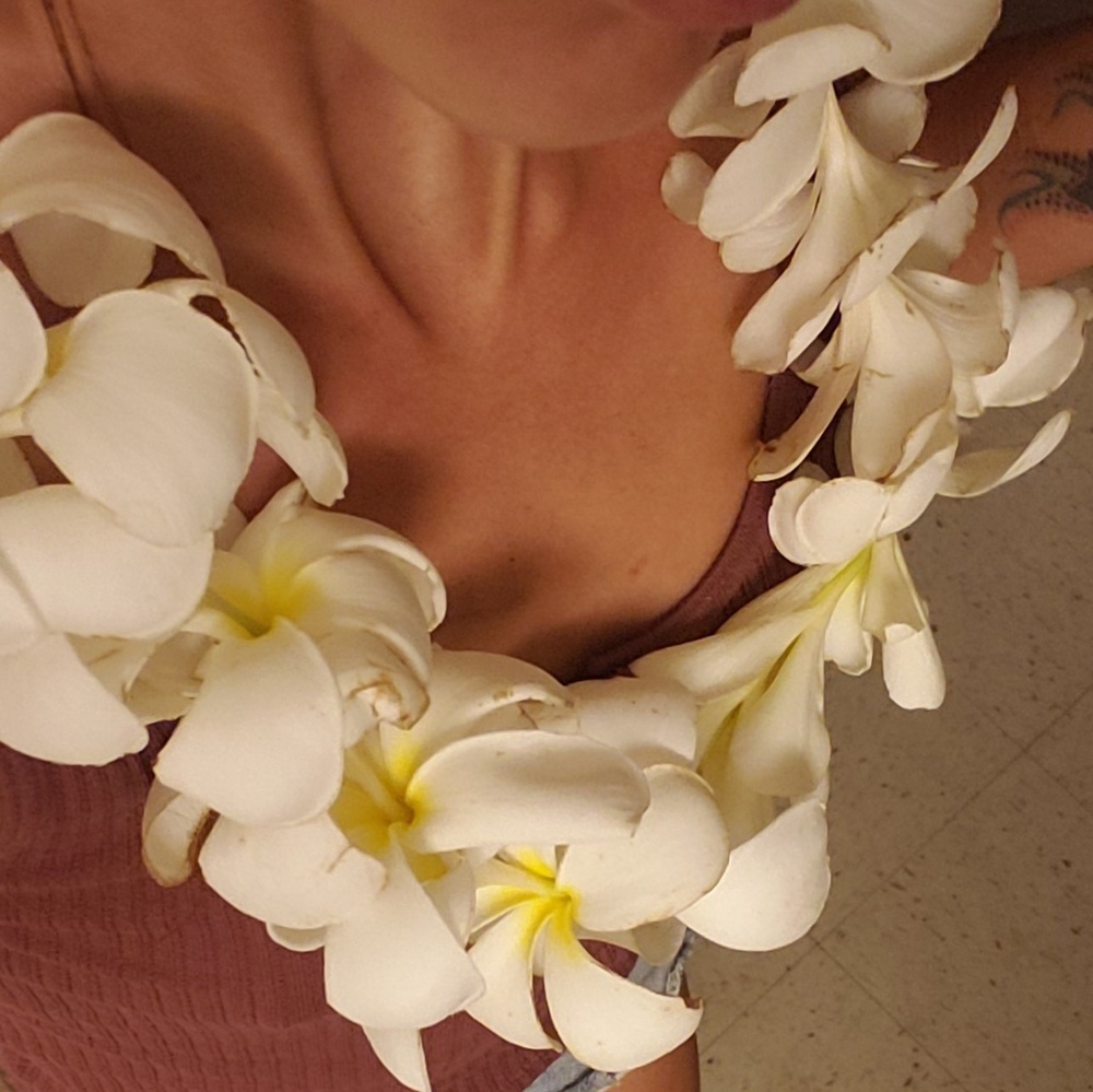 Leis